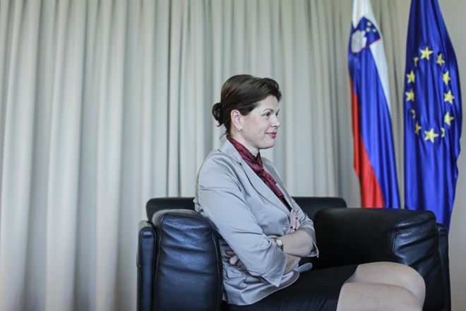 Glavno sporočilo Bratuškove Barrosu bo, da Slovenija izvaja to, kar si je zadala. (Foto: dokumentacija Dnevnika) 