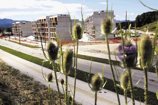 Gradnja soseske Zeleni gaj na Brdu bo republiški stanovanjski sklad stala še več denarja, kot je bilo sprva pričakovati, saj...