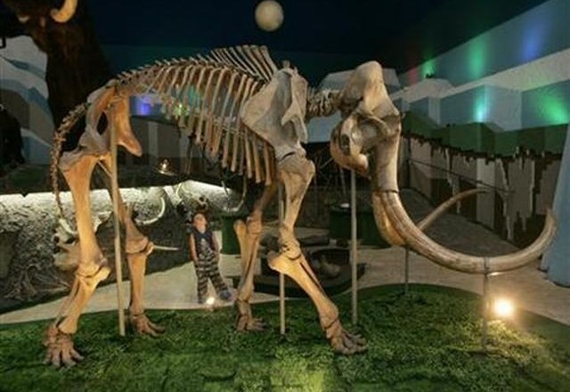 Novi dokazi, da so mamuti izumrli zaradi podnebnih sprememb