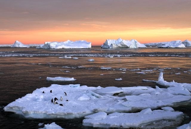 Za hitrejše taljenje ledu na Antarktiki morda odgovorni tudi ognjeniki 