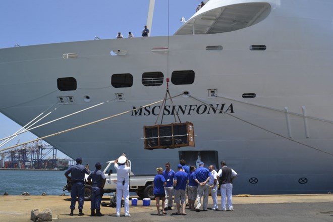 Pomoč na krov ladje mlademu morskemu levu podjetja MSC Krstarenja d.o.o. (Foto: MSC Krstarenja d.o.o.) 