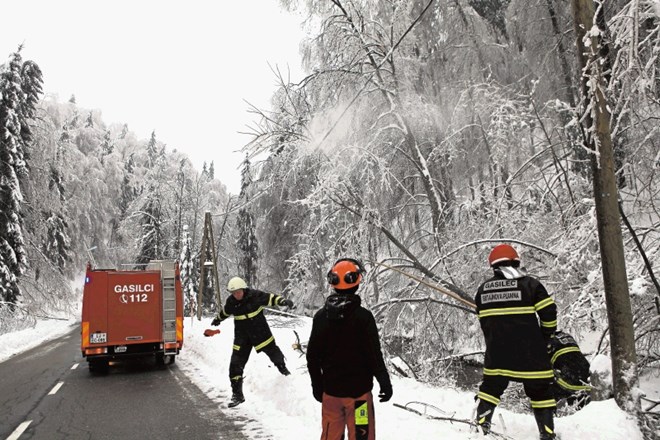 Gasilci so se včeraj trudili z odstranjevanjem padlega drevja tudi na cesti Horjul–Butajnova. Ko so odstranili padla drevesa,...