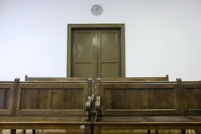 Sodniško društvo o izjavah Štefaneca: Sodnik mora biti politično vzdržen