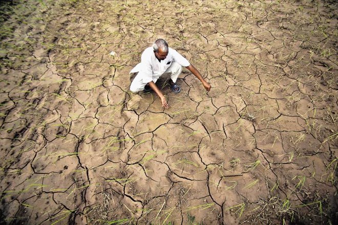 In this Aug. 3, 2012 file photo, an Indian farmer shows a dry, cracked paddy field in Ranbir Singh Pura 34 kilometers (21...