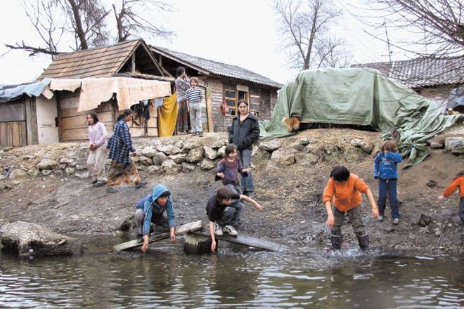 V romskem naselju v Dobruški vasi živi skoraj dvesto otrok brez elektrike in vode. Pijejo jo tudi iz potoka. 
