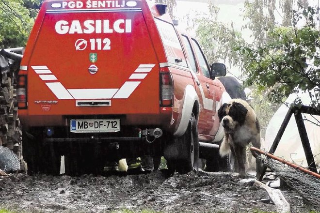 Nekateri psi Matilde Strasser so ubežali smrtonosnemu požaru in so med gasilsko akcijo izgubljeno tavali po posesti na...