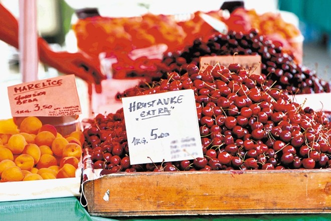 Takoj ko se na trgu pojavi prvih pet kilogramov slovenskih jagod ali češenj, so nenadoma vse domače... 
