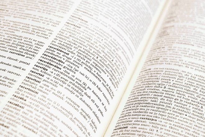 Koncept novega slovarja slovenskega jezika trenutno nastaja brez nekaterih pomembnih nosilcev jezikovnih znanj, saj med njimi...