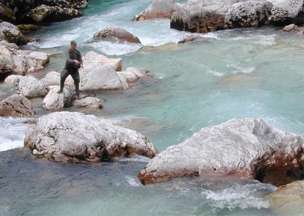 Samo še ene desetina alpskih rek ima ohranjene naravne ekološke lastnosti, med njimi tudi Soča 