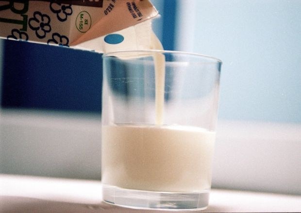Švedska raziskava: veliko popitega mleka ne prepreči zlomov kosti v starosti 