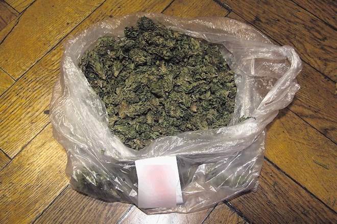Med hišno preiskavo zaradi gospodarskih kaznivih dejanj so kriminalisti naleteli na kar 18 kilogramov marihuane. PU Ljubljana...