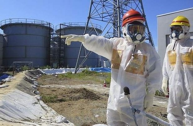 Fukušimski riž prvič prestal testiranje za jedrsko onesnaženost