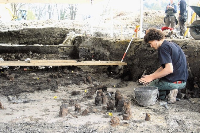 Leta 2010 so v arheoloških raziskavah na Špici odkrili ostanke kolišča, zato bi zdaj to območje zavarovali kot arheološki...