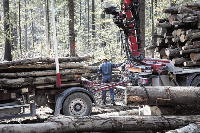 Prevoznice, s katerimi naj bi zajezili tihotapljenje lesa, bodo ostale zamrznjene najmanj do konca prihodnjega leta. 