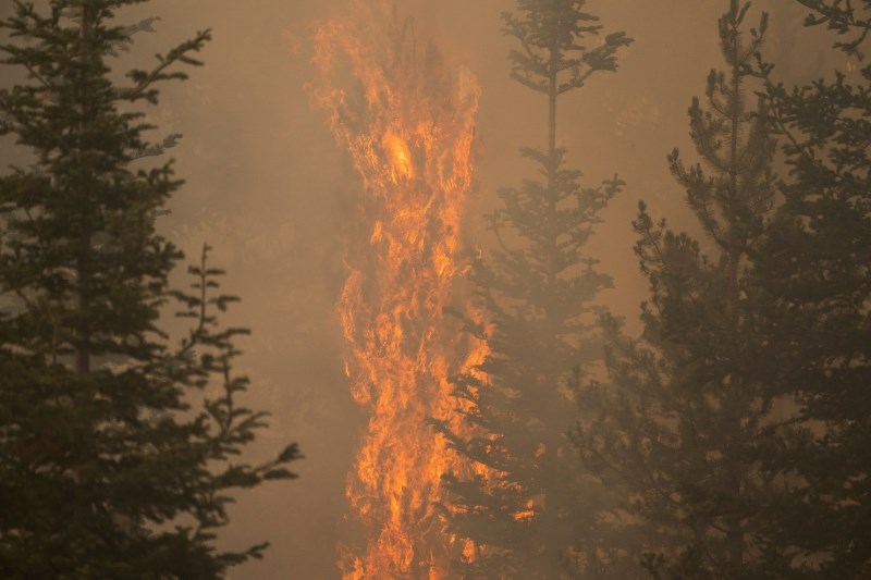 Portugal está a combater um incêndio florestal durante uma onda de calor