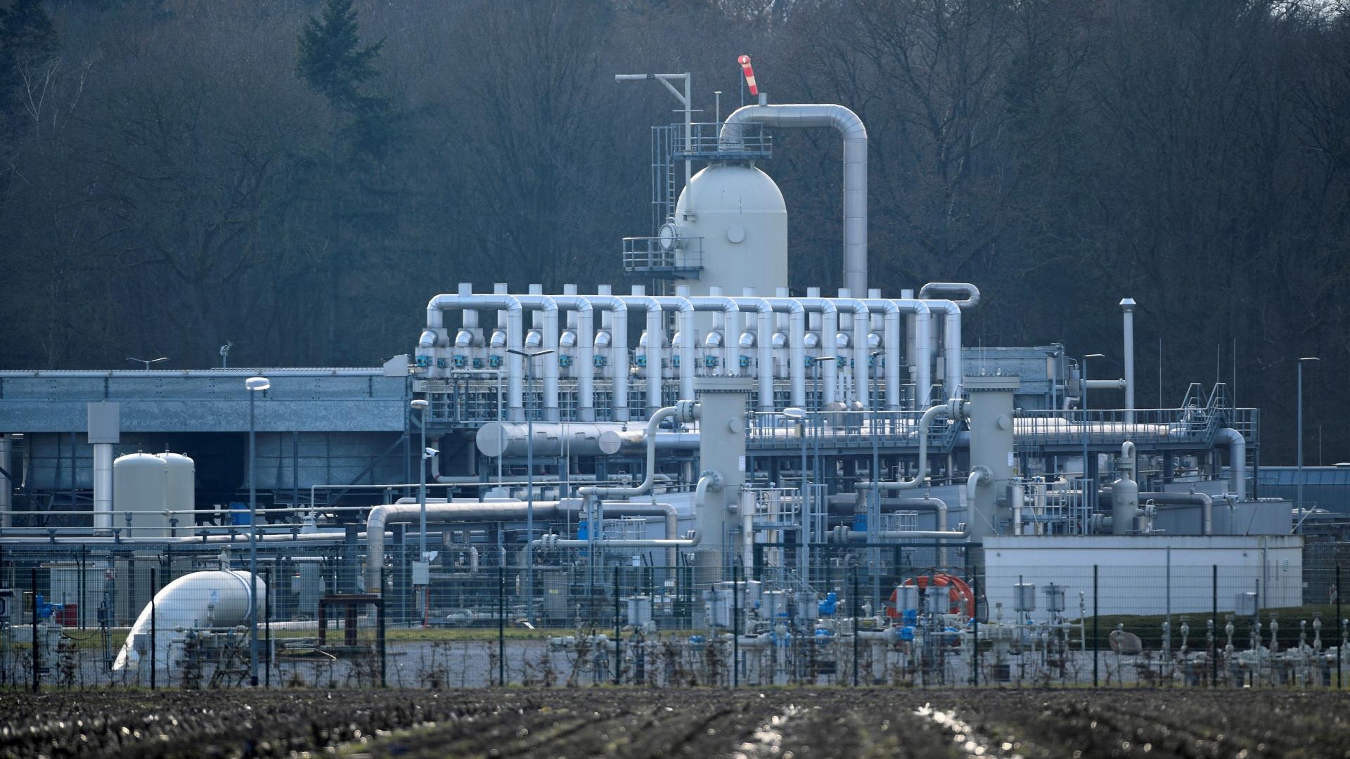 Greenpeace: Deutschland zahlt Rekordsumme für russische Energie