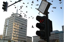 Slabitev kapitala Telekoma zaradi naložb v Makedoniji in na Kosovu