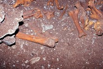 V Veliki Britaniji so arheologi odkrili 1700 let staro okostje afriškega priseljenca