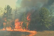 Video dneva: Ogenj z neverjetno hitrostjo uničuje vse pred seboj