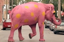 Ko roza slon z rumenimi pikami pred vami prečka cesto