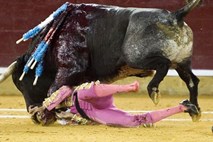 Biki vračajo udarec: Španski bikoborec po nesreči v areni ostal slep na levo oko