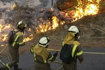 V požarih na severu Španije zgorelo 3500 hektarjev gozdov, umrli sta dve osebi
