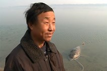 Neverjetno: Kitajec ujel 207 kilogramov težko ribo