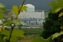 Krška nuklearka je letos proizvedla skoraj polovico slovenske električne energije