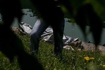Truplo pogrešanega mladoletnika našli v Kočevju v reki Rinži
