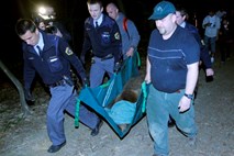 Celovec: 48-letnega Avstrijca oprostili krivde za smrt medveda Rožnika