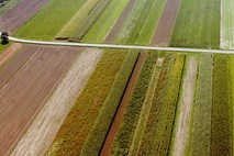 Kmetijstvo in ceste proti okolju in prostoru
