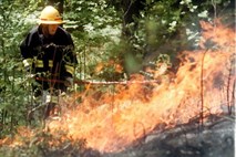 Po celotni Sloveniji razglašena velika požarna ogroženost naravnega okolja