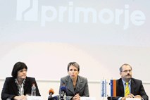 Če dogovora ne bo do nedelje, Primorje v ponedeljek izpolnjuje pogoje za stečaj
