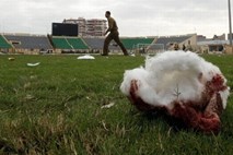 Med obtoženimi za tragedijo na egiptovskem stadionu tudi devet policistov in dva mladoletnika