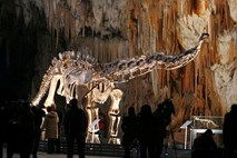 Dinozaver, ples, rojstni dan: Bizaren seznam besed, ki jih newyorški učenci ne bodo več videli v učbenikih