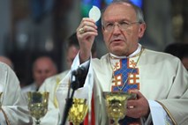 Nadškof Stres: Krivica in laž sta pogosto bolj uspešni kot resnica in poštenje