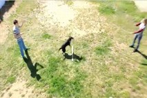 Video: Pes, ki preskakuje med dvema kolebnicama