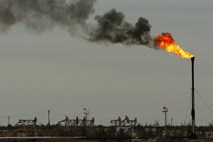 Shell in Petromanas bosta na jugu Albanije iskala nafto