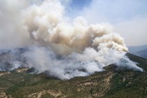 Največji požar v naravi v zgodovini Nove Mehike še vedno divja