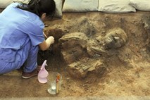 Arheologi na Kitajskem odkopali še 110 vojščakov iz žgane gline