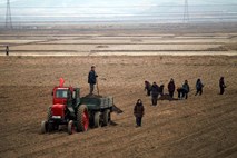 Razmere se ne izboljšujejo: V Severni Koreji še vedno kronično pomanjkanje hrane