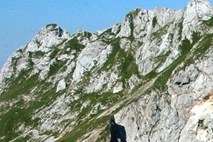Slovenca na Pelješcu našli mrtvega: Miro Podjed je bil dolga leta član ansambla SLG Celje