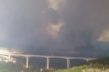 Gasilci obvladujejo požarišči v obalno-kraški regiji, vzrok požara še ni znan