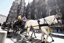 Avstrijska cerkev prvič razkrila svoje finance