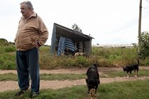 Jose Mujica: Po najrevnejšem predsedniku na svetu bi se lahko mnogi zgledovali