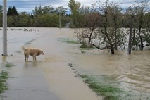 Deževje: Zaradi razmočenosti terena plazovi, podtalna voda ogrožala cela naselja
