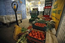 FAO: Počasna rast kmetijstva grozi cenam hrane