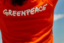 Aktivisti Greenpeace pristali v ruskem preiskovalnem priporu
