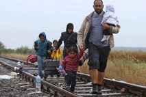 Sirski begunci: Na begu iz  Madžarske v Nemčijo – za rešetke v Postojni