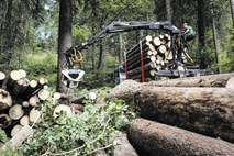 Zaposleni v SiDG o lesu iz državnih gozdov: Iz fantastičnega projekta smo naredili zmazek